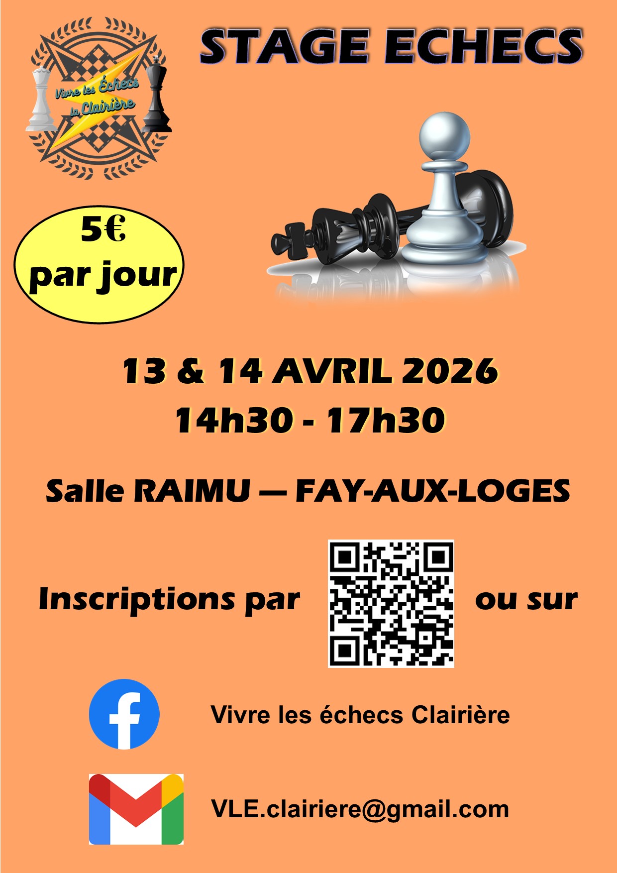 Zoomer sur l'image : STAGE ECHECS