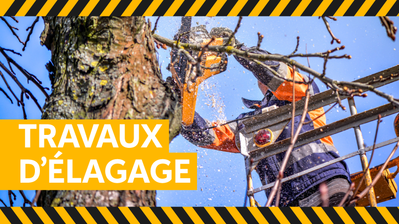 image de Entretien - Élagage