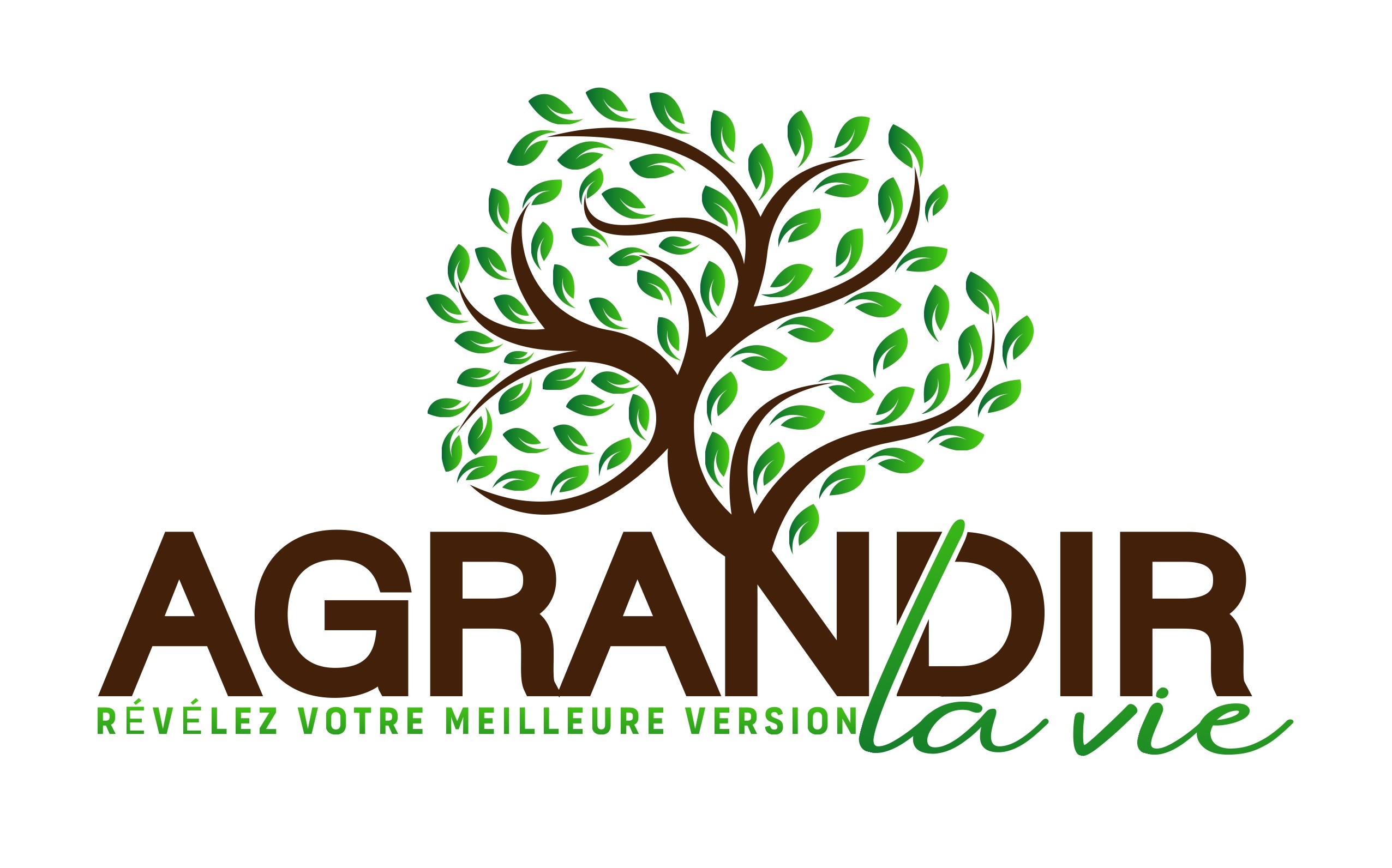 Zoomer sur l'image : 