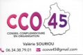 CCO45 - Conseil Complémentaire en Organisation