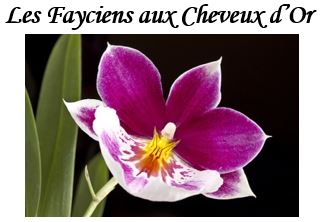 Zoomer sur l'image : 