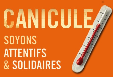Alerte canicule