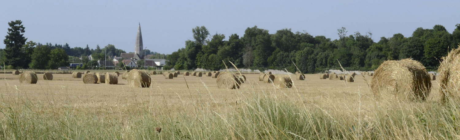 Photo de la campage de Fay-aux-Loges